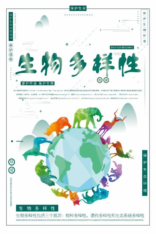 国际生物多样性日海报