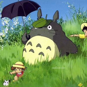 宫崎骏动画龙猫图片